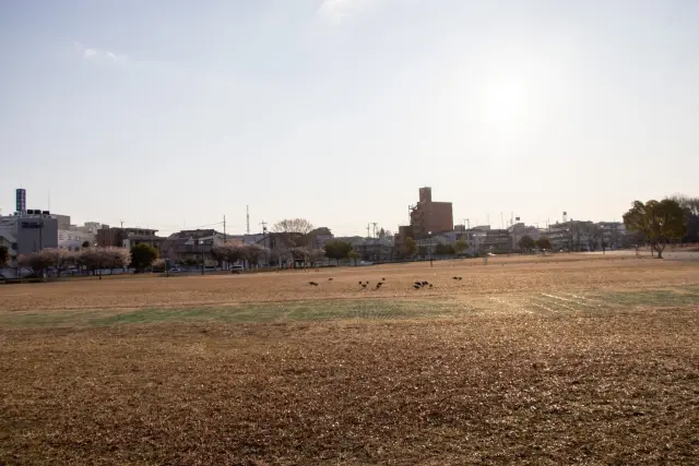 昭和区にある川名公園